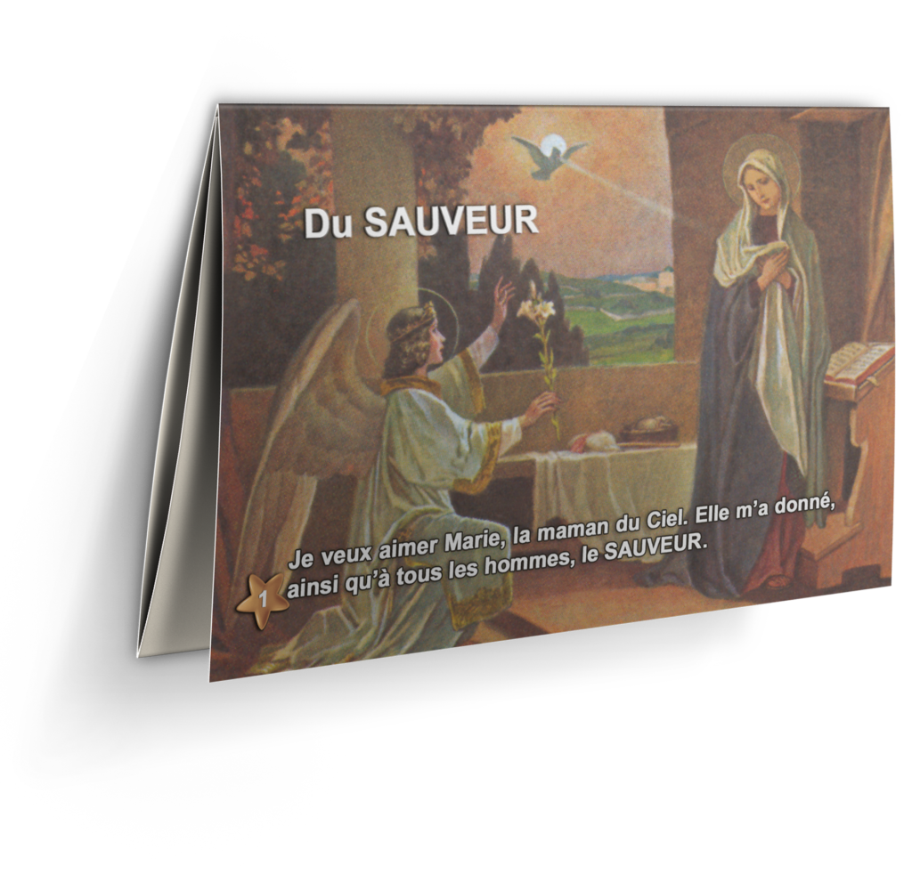 Du SAUVEUR BestellungenEU